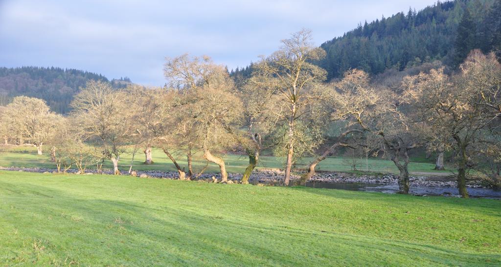 Dragon Bed And Breakfast Betws-y-Coed Exteriör bild