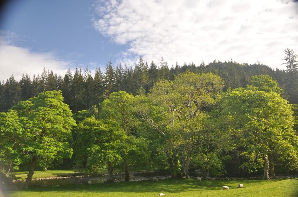 Dragon Bed And Breakfast Betws-y-Coed Exteriör bild